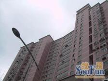 新天地、双轨上盖、高区全明大3房、满五年一套