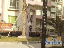 鞍山·华元豪庭·3室·2厅