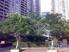 瑞虹新城铭庭2室南朝向1120.00万元/套出售