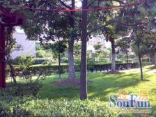 满5维一普宅!税费各付!楼层适中,视野无遮挡!