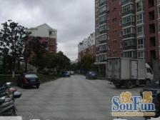 金江家园 1室1厅 南