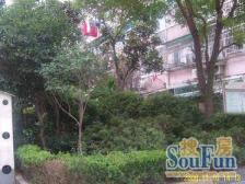 地铁口,电梯房,双南户型,低单价两房