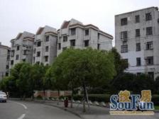 龙柏·龙柏六村·2室·1厅