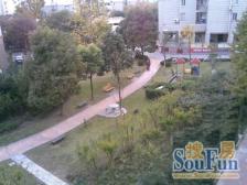 四大宜居板块之一 三林前滩 电梯大两房