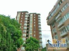 对口高安一小,小高层带电梯,法桐环绕,周边洋房林立,产证在手