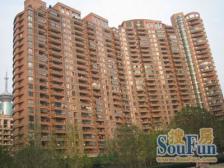 古北稀有大平层 瞰步行街景观 瞰东方明珠浦东三件套