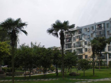 近地铁采光好,通风好,满五新上房源