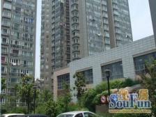 新湖云庭 2室1厅 西南