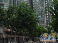 新湖云庭2室南朝向820.00万元/套出售