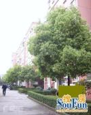 全明南北两房近地铁6813号线临河靠公园