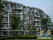 近地铁 入住快 无抵押,产权清晰 必看好房