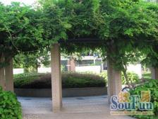 新上三房 非顶楼 诚意出售 店长五星推荐 金滩辐射