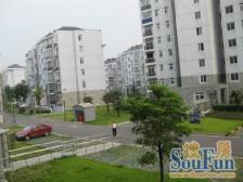 户型方正适合低预算上车低首付!!!