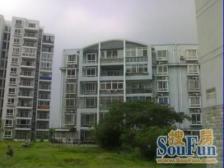 一楼带院子,南北通大三房,户型方正,满五税少