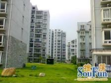 满五年,单价低,飞机户型,诚意出售。