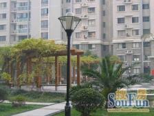 静安丽舍品质小区,小区环境好,房子户型好,采光足