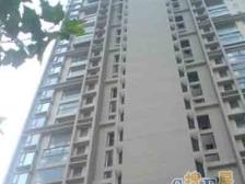 电梯高区+板式南北通透,带晋元书包+好改三房,看房随时