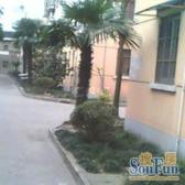 两室宜居近地铁,采光好无遮挡,拎包可入住