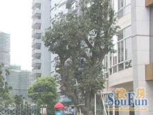 广汇花苑 3室1厅 东 东南 南