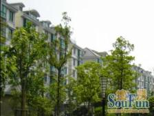 近地铁 电梯房 现场实勘,店长力推