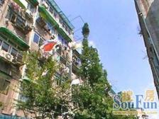 虹连大楼2室西朝向408.00万元/套出售