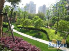 07年高区景观房 1+1户型 房东诚意出售价格可谈