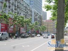 店长主推+楼层好+南北通户型+车位宽松+急售
