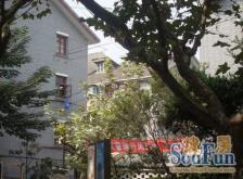 建业新村 新上大的一房一厅 看房随时好看 业主诚心