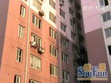 高区东西向,每个功能间有明窗,采光视野好,诚意出售