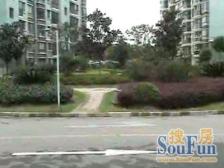 电梯中区靠河景观房,近金桥国际,近地铁6号线