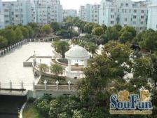 央座中高区洋房 诚意出售 看房方便