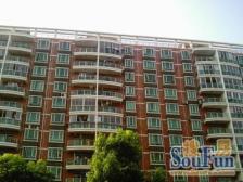 三林·银马苑·1室·1厅