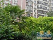 富天苑2室南朝向628.00万元/套出售