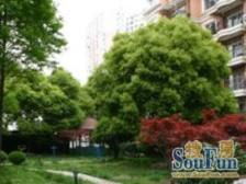 次顶楼,南北直通,双阳台的,精装修哦,诚意出售