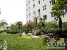 电梯房,卫生间全明,非顶楼房,居家装修