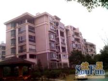 阳明国际花苑(一二三期) 4室2厅2卫 南北