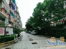 凯兴苑 3室2厅 南