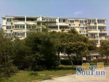 金桥·双桥小区-双桥路180弄·3室·1厅
