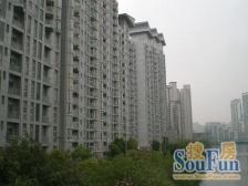 近地铁,电梯房,无抵押 产权清晰 新上房源