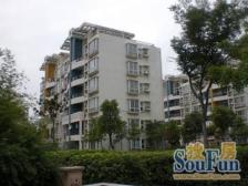 新出笋盘,中间楼层,