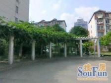 绿地泾南公寓2室南朝向800.00万元/套出售