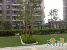 中式庭院,东边套,五房设计,前后阳光房,有车库