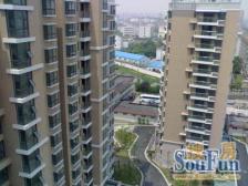 三花现代城(三期金兰苑) 3室2厅 南 北