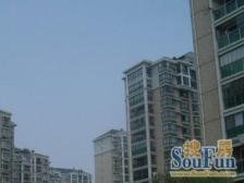 房子2013年的商品房, 南北通户型,全明,采光很好