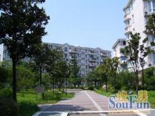 新上中间楼层商品房,飞机户型,小区花园位置,不靠路