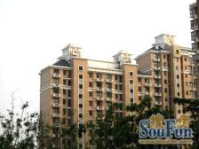 中轩丽苑 3室2厅 南 北