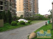 电梯中区,精装修,房东诚意,性价比高