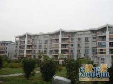 双傅雷,顶楼复式,带大露台,户型好南北通透,诚意出售