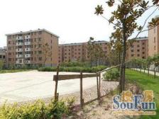 +外环内好房优选+采光哇塞+户型优质+诚意出售