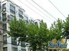 建德坊优选好房高区采光好新天地板块房东移民诚售